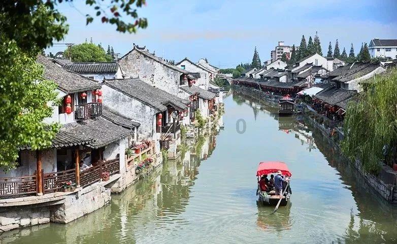 学习插花艺术